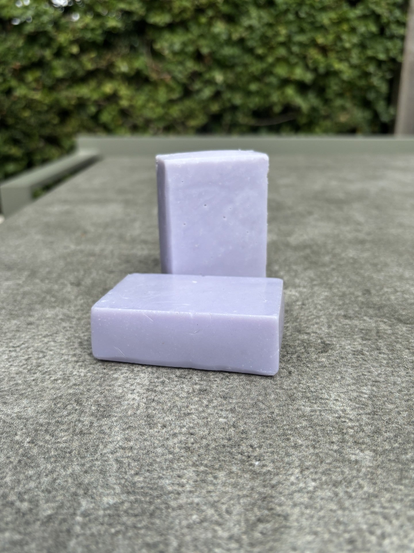 Pure Lavender